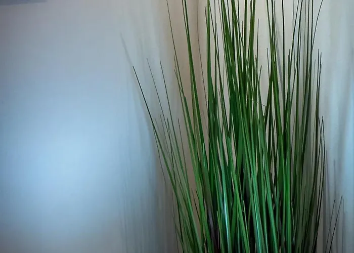 Piazza Erbe Spacious Flat Verona