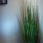 Piazza Erbe Spacious Flat 维罗纳